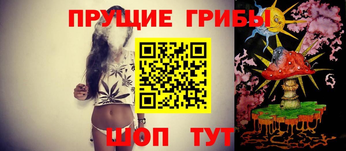 Псилоцибиновые грибы мицелий Приморско-Ахтарск