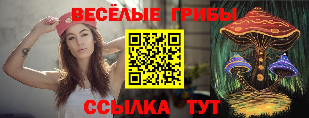 Псилоцибиновые грибы Cubensis  Вход с VPN  Приморско-Ахтарск 